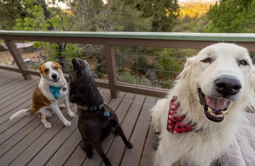 Prescott House | **The Thumb Butte Retreat** 5 min drive to Downtown. Pet friendly with big yard!