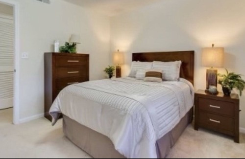 Tuscaloosa Apartment | The tide 2 bedroom apartment