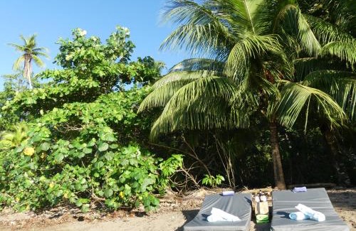 Drake Bay Hotel | The Tranquilo Lodge, Adult Only, All meals included