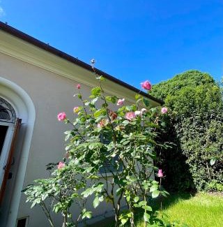 Pistoia House | The Tuscany Rose