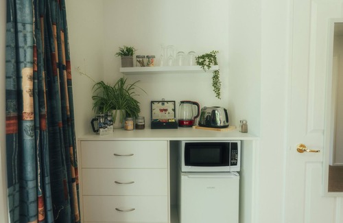 Dunedin House | The Ultimate Home away from Home - Perfect for Families and Groups!