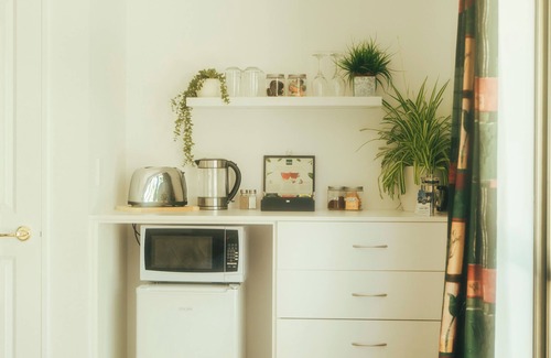 Dunedin House | The Ultimate Home away from Home - Perfect for Families and Groups!
