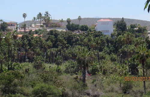 Todos Santos Cottage | The Wave - A Peaceful Private Oasis Steps Away From All Todos Santos Attractions