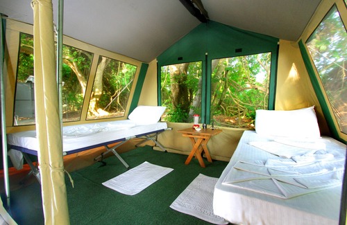 Tissamaharama Other | The Yala Camping