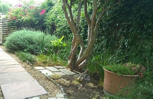 Somerset West Apartment | Theebos Anneline's Self Catering Apartments