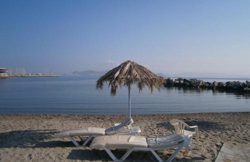 Kos Apartment | Theodorou Beach Hotel Apartments