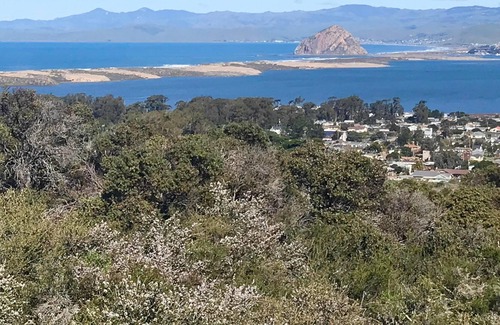 Baywood-Los Osos House | This house is a 3 bedroom(s), 2 bathrooms, located in Baywood-Los Osos, CA.