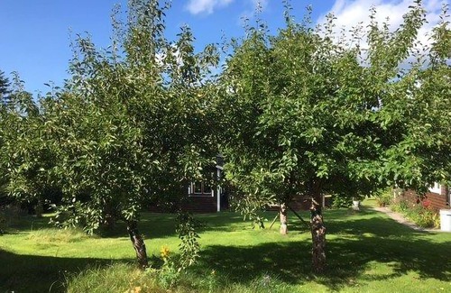 Sodersvik House | This vacation home near Åkeröfjärden welcomes you with a large, flowery garden.
