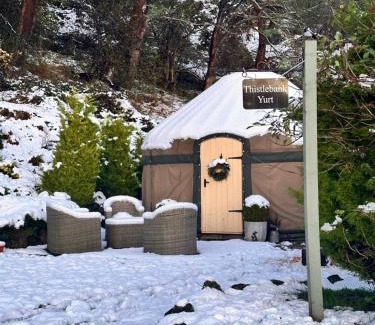 Acrefair Other | Thistlebank Yurt