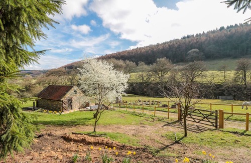 Scarborough Cottage | THOMPSON RIGG BARN, family friendly, with hot tub in Thornton-Le-Dale