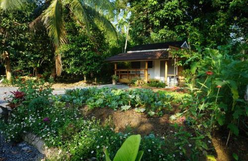 Ban Wang Hom House | Thong Tiny House