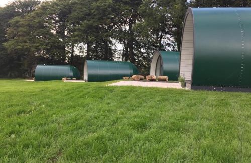 Ballymoney Other | Thornfield Farm Luxury Glamping Pods, The Dark Hedges, Ballycastle