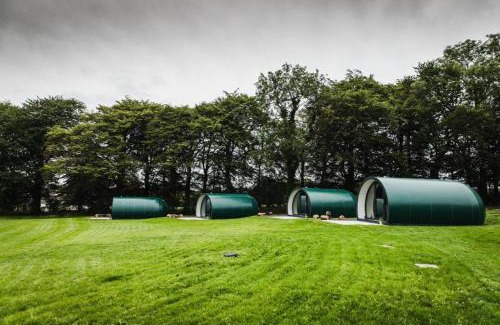 Ballymoney Other | Thornfield Farm Luxury Glamping Pods, The Dark Hedges, Ballycastle