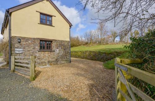 Okehampton House | Thorny Tallet