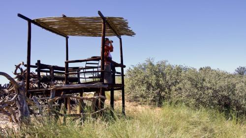Joe Morolong Other | Thota Lodge Camelthorn Chalet