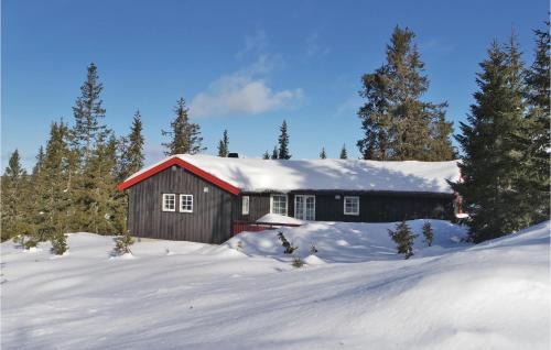 Sjusjoen House | Three-Bedroom Holiday Home In Sjusjoen