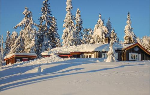 Sjusjoen House | Three-Bedroom Holiday Home In Sjusjoen