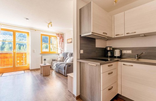 Hinterstein Apartment | Thumb Apartment - Mountain View Apartments