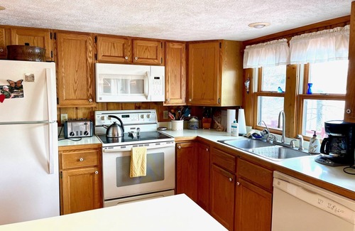 Boyne Falls Cabin | Thumb Lake Family Cabin - perfect getaway on the water!