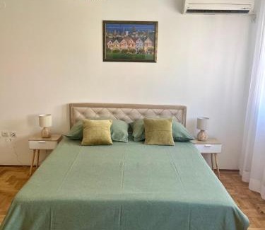 Grbavica Apartment | Tik-tak City center