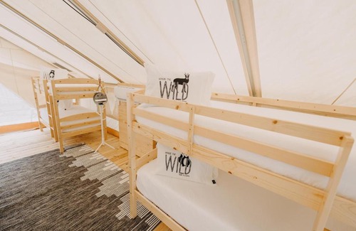 Dawsonville Other | Timberline Glamping at Amicalola Falls