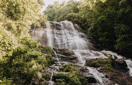 Dawsonville Other | Timberline Glamping at Amicalola Falls