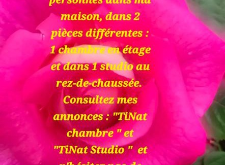 Douarnenez Bed & Breakfast | TiNat chambre