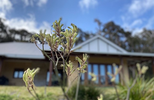 Bow Bridge Cottage | Tingle Estate