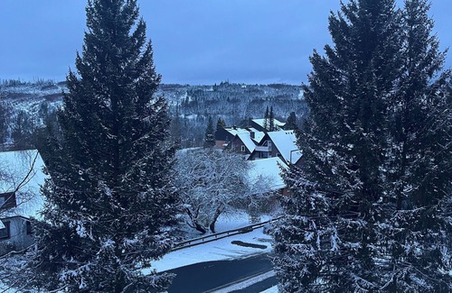 Landkreis Goslar Apartment | Tinharz Holiday ApartmentnPeace and tranquility in the Harz .Dogfriendly.