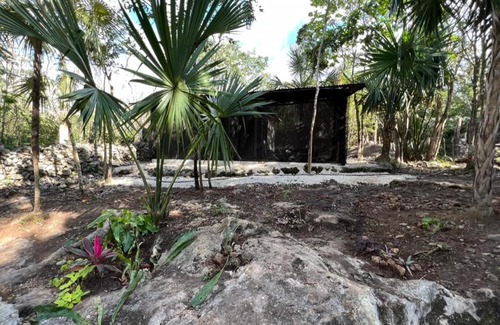 Puerto Morelos Other | TINY CENOTE Casa Costal Glamping Experience