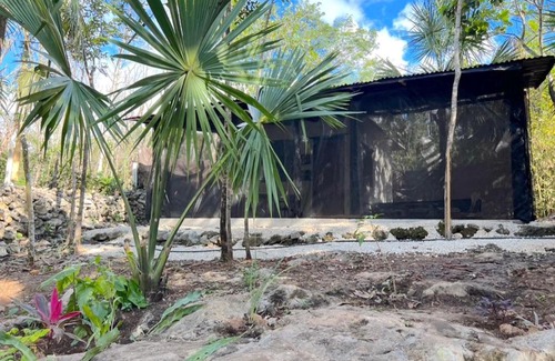 Puerto Morelos Other | TINY CENOTE Casa Costal Glamping Experience
