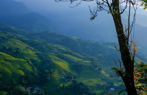 Hau Thao House | Tiny Homestay SaPa