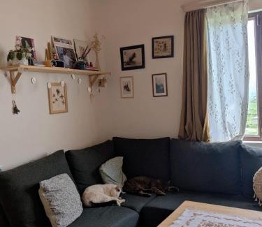 Mtskheta House | Tiny House in Bitsmendi