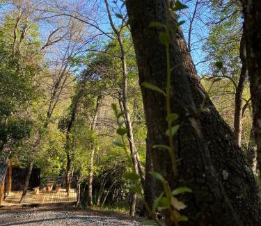 Bajos de Lircay Ski Chalet | Tiny house Roble en Vilches alto