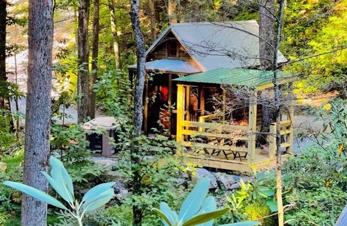 Newport Cabin | Tiny Owl Cabin – Tranquil Forest Retreat with Hot Tub and Creekside Setting