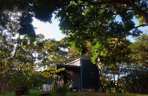 La Palmeria Apartment | Tiny Private Oasis: Nature, Comfort, and Access to Costa Rica's Top Attractions