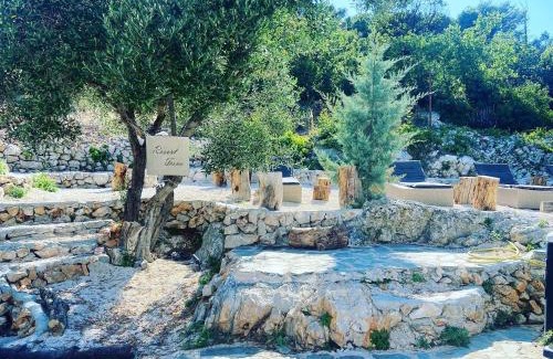 Tisno Apartment | Tisno Resort