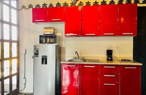 Alvaro Obregon Apartment | Tizapán Increíble Apartamento 1be/1ba