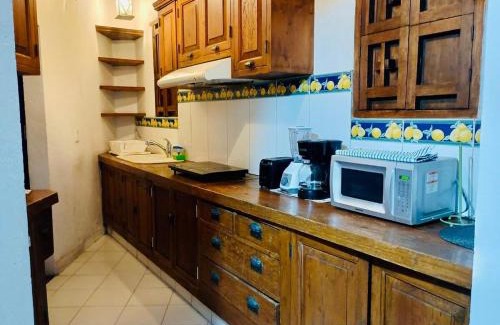 Coyoacan Apartment | Tizapan 02 NEW 1BE&1BA