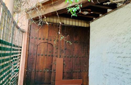Coyoacan Apartment | Tizapan 02 NEW 1BE&1BA