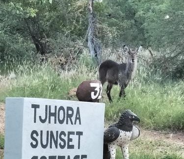 Maruleng House | Tjhora Sunset Cottage