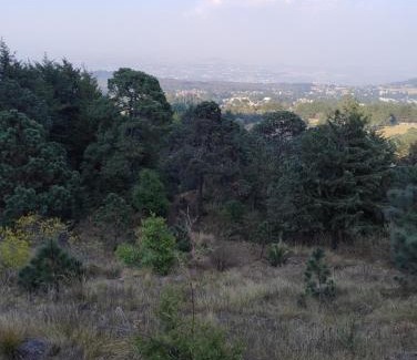 Tlalpan Other | Tlali Nantli Ecoturismo