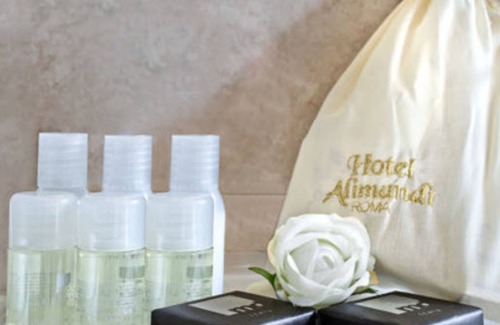 Vatican Hotel | Tmark Hotel Vaticano