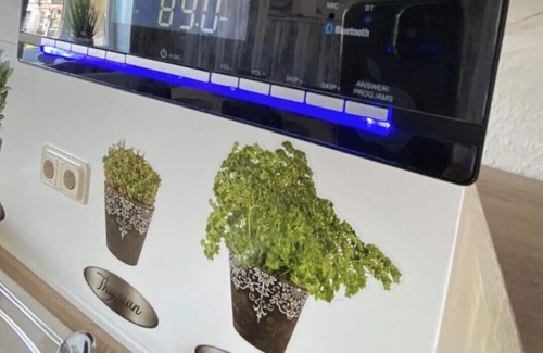 Ilversgehofen Apartment | to Birke Apartment No. 3 1st floor left