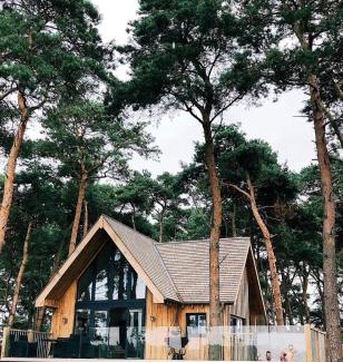 King's Lynn Other | Toad Hall