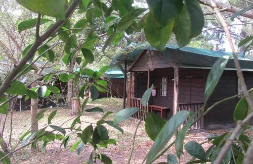 Mbazwana Cabin | Toad Tree Cabins