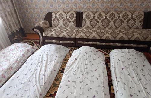 Kyrgyzstan House | Toluk guest house