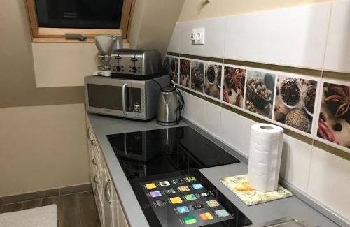 Hajduszoboszlo Apartment | Tommy Apartman 2.0
