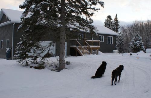 Calvin Bed & Breakfast | Top of Algonquin Bed and Breakfast