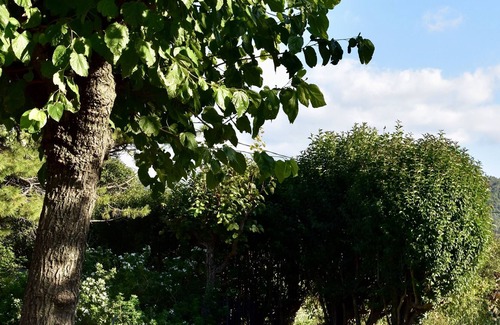 Seguret Other | Top-of-the-range Mas, Comfortable, swimming pool, air-conditioned, 6 bedrooms